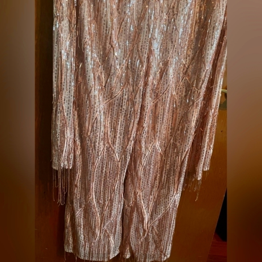 Black Label Eva Sequin Fringe Jumpsuit - Picture 4 of 5